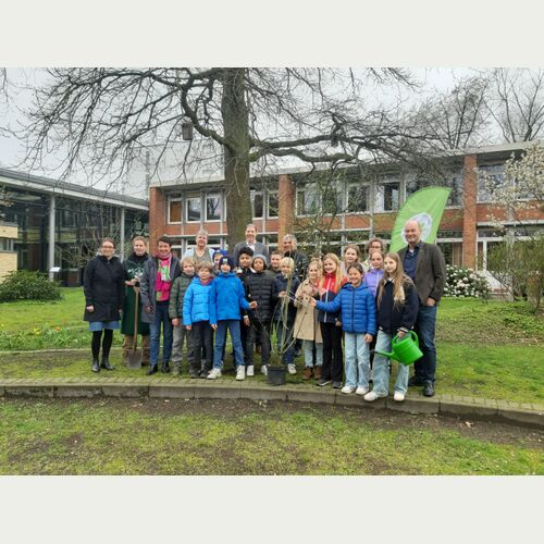 Die Klasse 4d der Grundschule Turmweg mit ihrer neuen Sal-Weide
